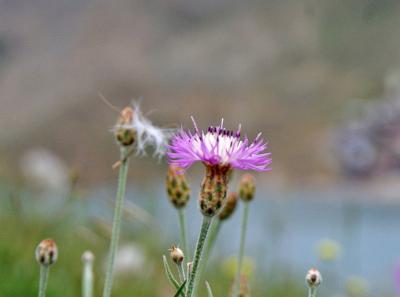 Прикрепленное изображение: zb31.jpg